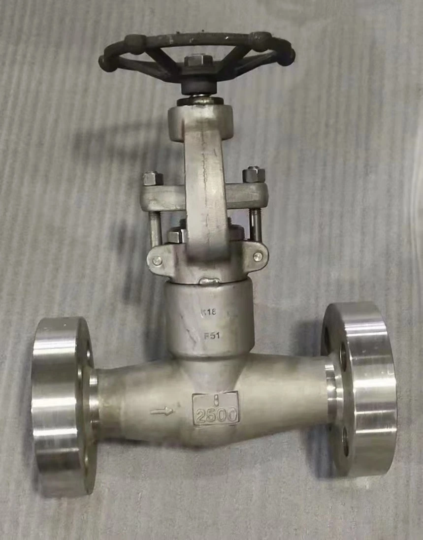 Forged Steel Sw Ends Globe Valve A105 N