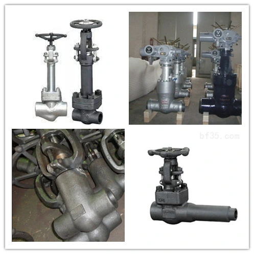 High Pressure Stainless Steel/Carbon Steel/A105/FL2/F11/F22/F5/F304/F316/F321 Flange & Thread & Butt Weld & Socket Weld Forged Steel Check Globe Gate Valve